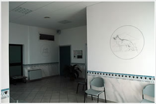 clinica_veterinaria_san_francesco_parma