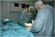 chirurgia_clinica_veterinaria_parma