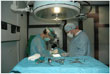 chirurgia_clinica_veterinaria