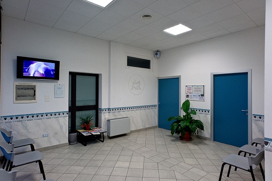 La sala d'attesa della nostra clinica veterinaria a Langhirano (PARMA)